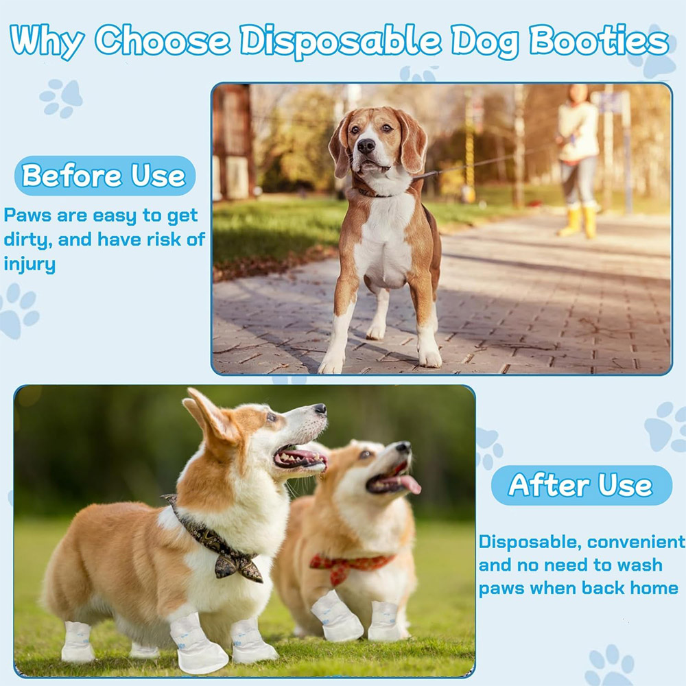 20/40PCS Pet Disposable Paw Sh - Dust Shoe Cnc 评论和价格