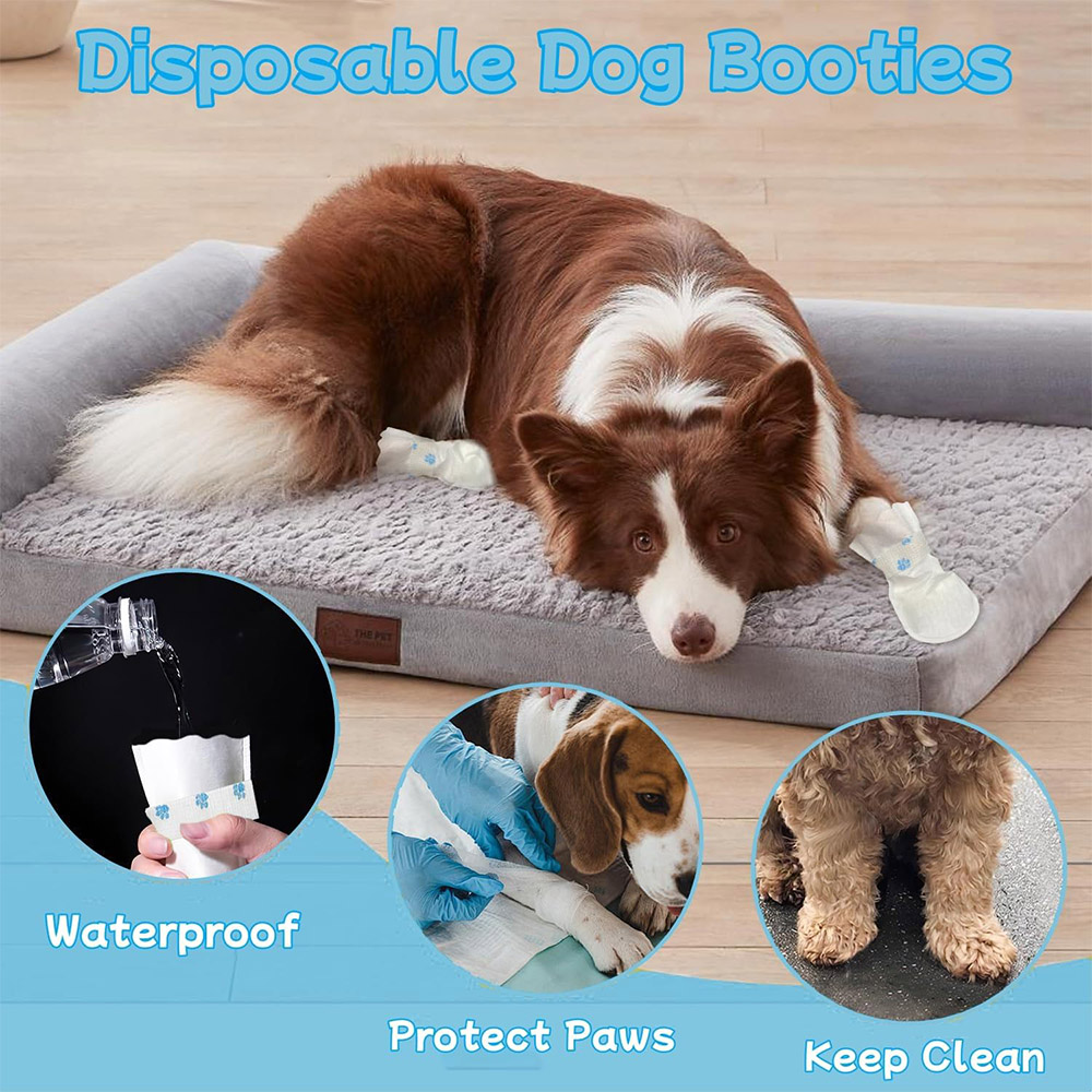 20/40PCS Pet Disposable Paw Sh - Dust Shoe Cnc 评论和价格